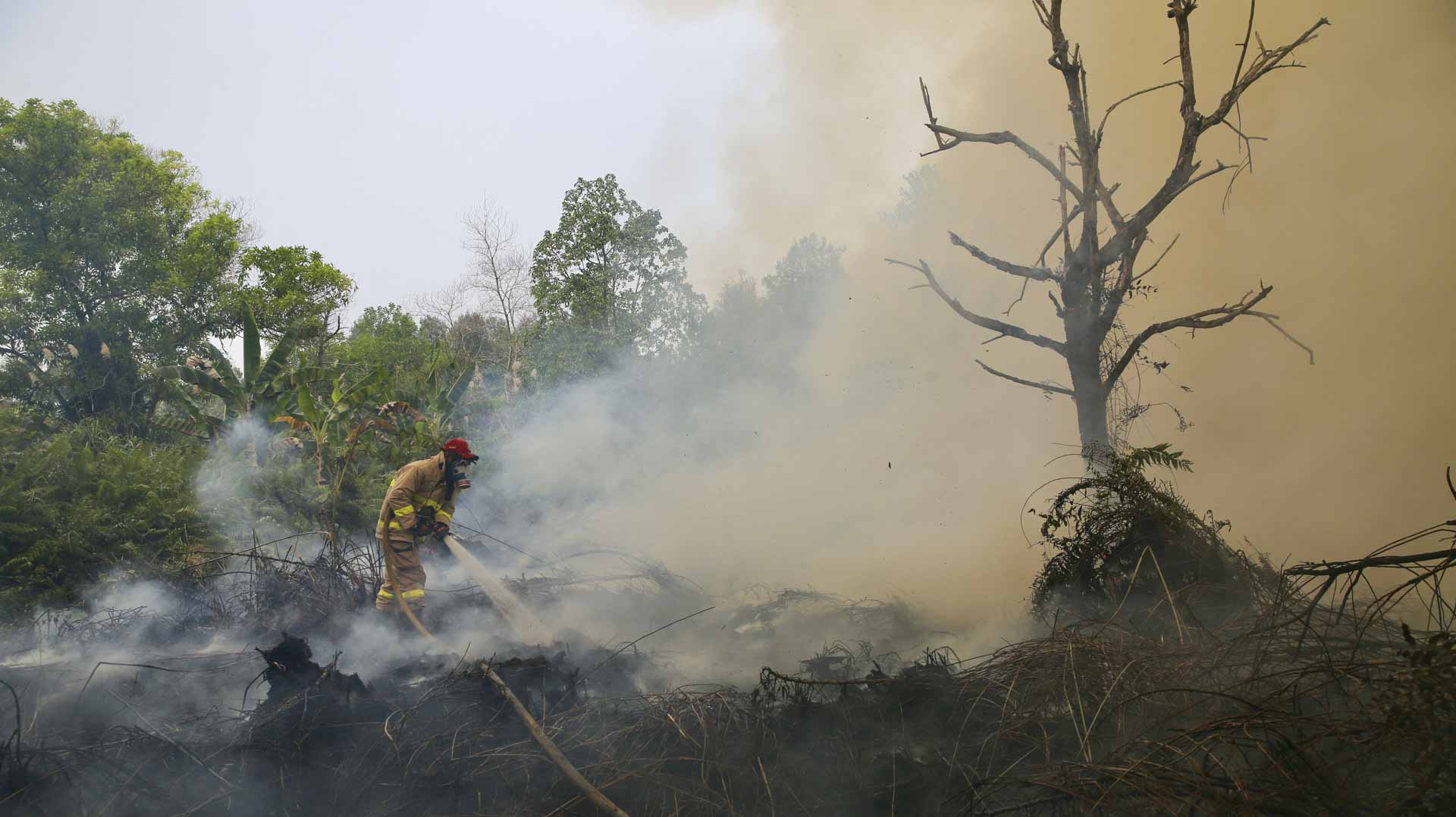 Wildfires disrupt 409 flights in Indonesia 