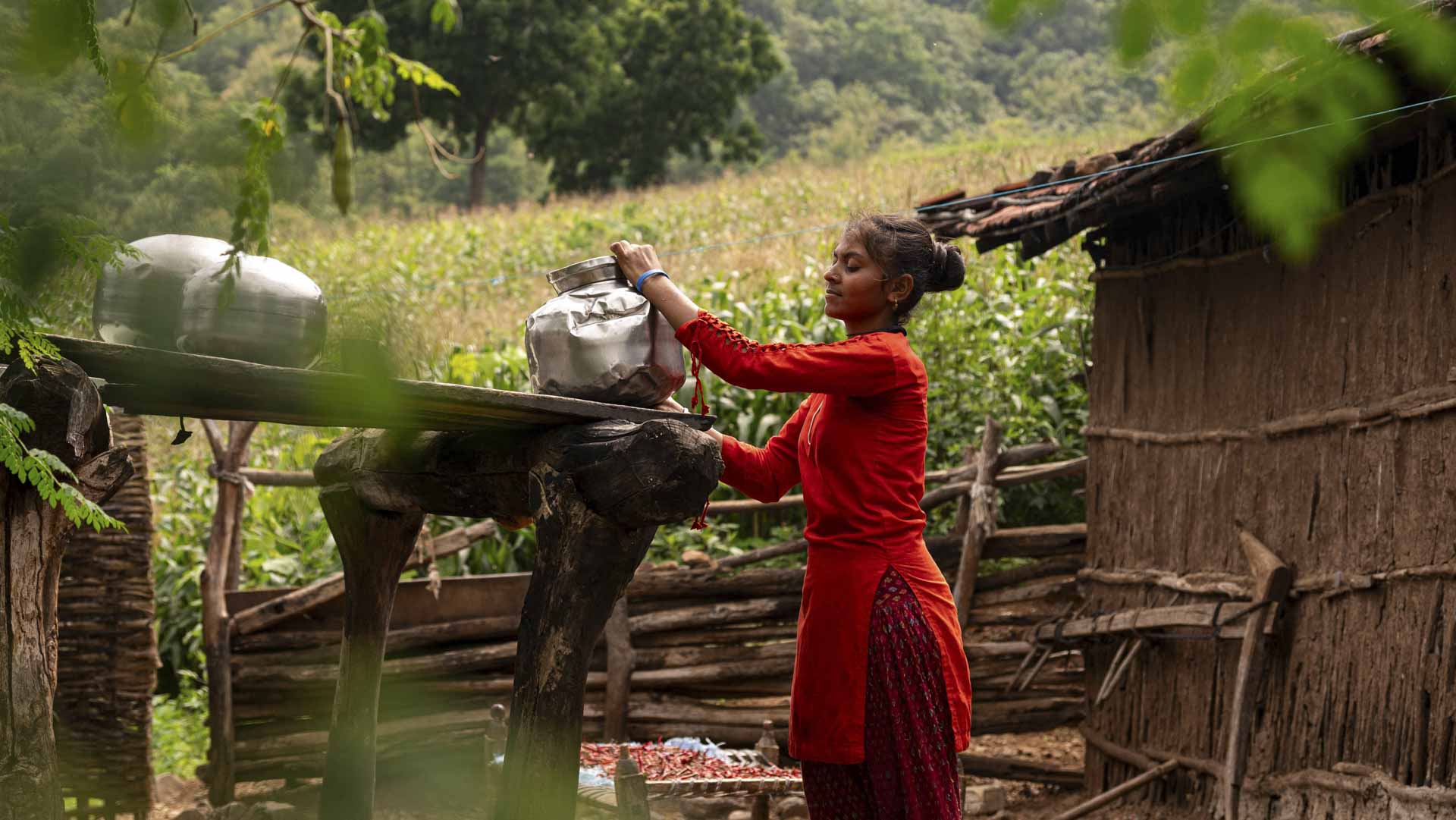 Drought declared in three-quarters of India's richest state 