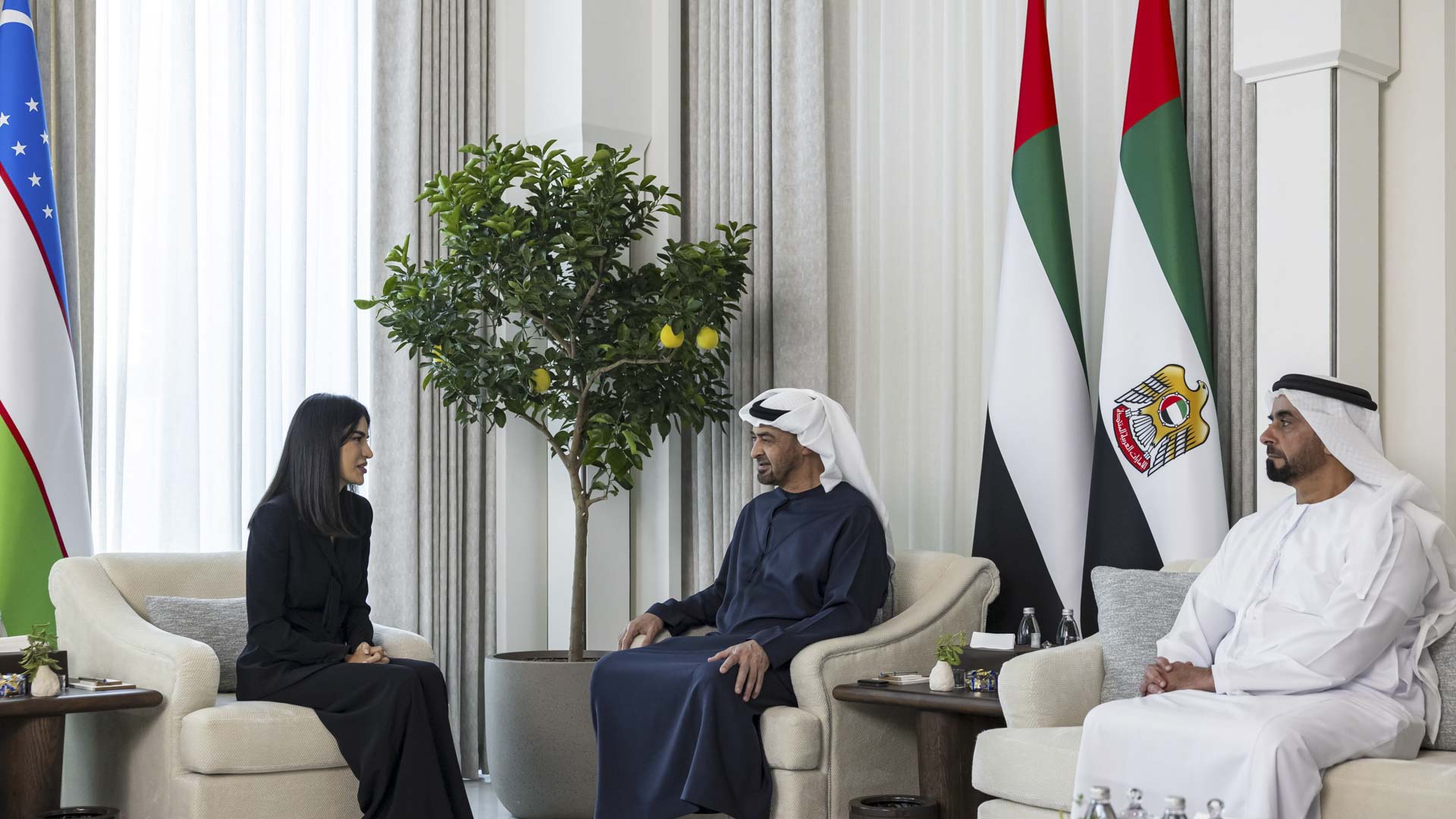 UAE President meets Uzbekistan Presidential Administration Head