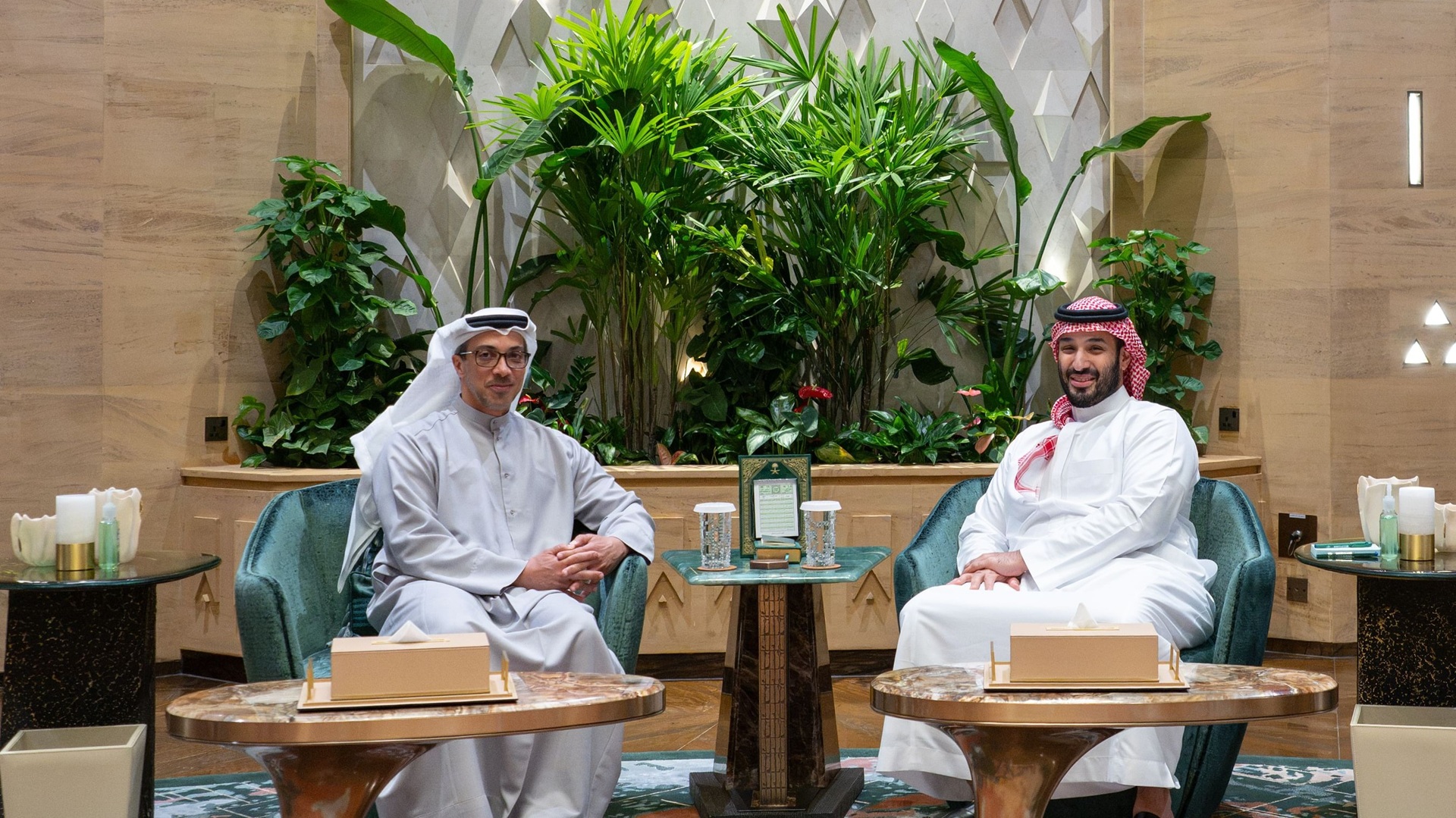 Mansour bin Zayed, Saudi Crown Prince discuss fraternal ties