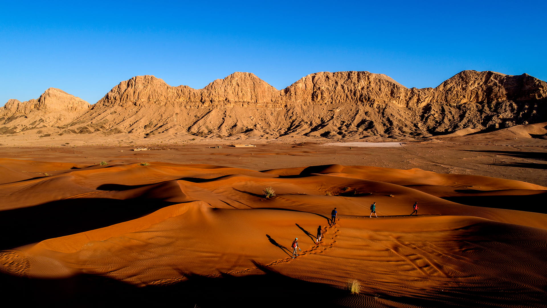 Image for the title: How big is Sharjah? discover the area of Sharjah Emirate 