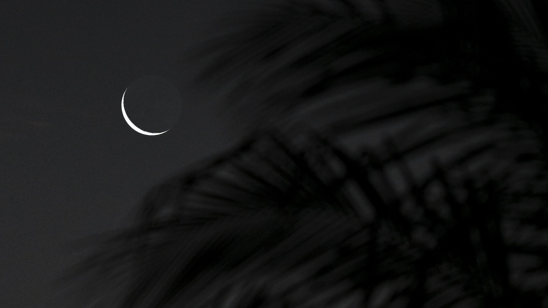 uae ramadan moon sighting committee